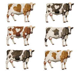  vache laitière, groupe de profil, animal, mère, enfant, amour, silhouette, ferme, vecteur, illustration, taureau, boeuf, viande, bétail, mammifère, sauvage, mollet  © behzadillustrations