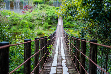 Obraz premium 和歌山