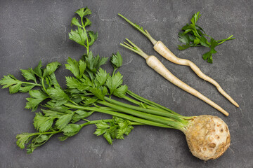 Celery tuber with stems and leaves. Parsley roots.