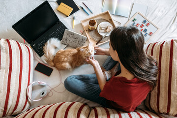 Freelancer young woman working in home office with laptop computer and cat. Remote online working,...