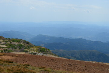 landscape on the mountain in summer