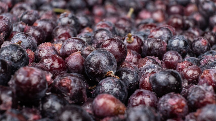 frozen grapes close up, seasonal berry background.
