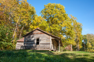 Obraz premium Abandoned old rural wooden building surrounded by trees