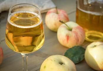 A glass of organic homemade apple wine,cider in the harvest season. Natural alcohol, farming and agriculture concept