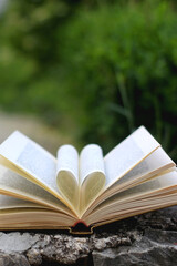 Vintage book with pages shaped like heart. Selective focus.