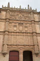 Obraz premium Detail on Salamanca University