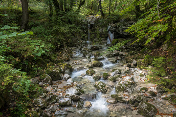 Wilder Gebirgsbach mit Steine und Bäumen