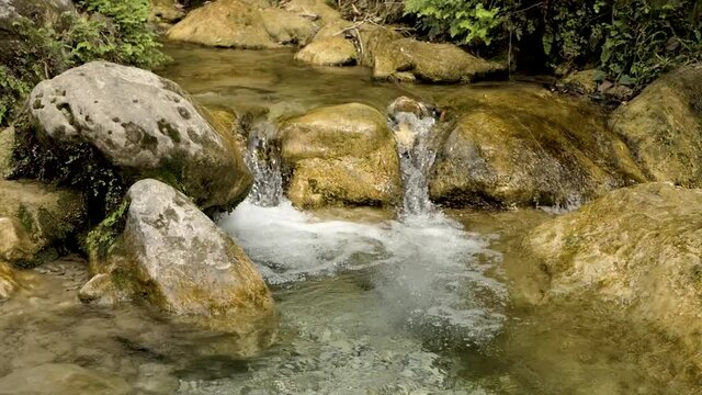 Mountain stream in the tropical jungle. Clear water flows between the stones.