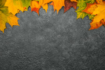 Multicolored autumn leaves on a gray background. Texture, background, top view