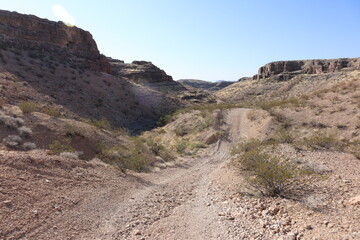 Long way home