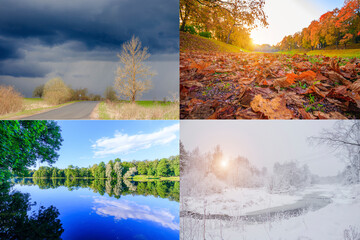 Collage seasons . All season. Seasons in one photo. Winter spring summer autumn. Tree branch. Grass...