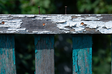 Photos are made in the style of minimalism, impressionism and art