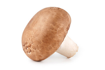 Fresh champignon mushrooms, isolated on white background. 