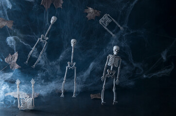 Decorative Helowin background. Decorative skeletons in a web on a black background, monochrome, selective focus