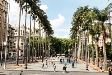 Praça da Sé, Centro Histórica de São Paulo, Brasil. prédio, arquitetura, cidade, janela,...