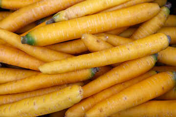 Heap of fresh new spring yellow carrots