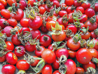 ripe rosehip fruits