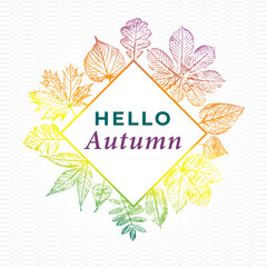 Hello Autumn Rhombus Logo with Maple Hazel Oak Sycamore and Other Fall Leaves Vintage Greetings Print Style Composition Template - Multicolor on White Background - Hand Drawn Design