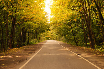 Obraz premium Landscape of automobile road through the autumn forest. Fall season scene.