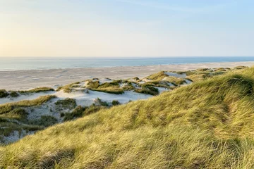Fotobehang Dunes and beach on the Danish North Sea coast © Andreas