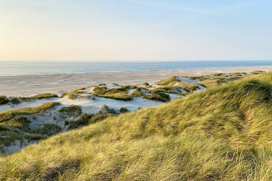 Dunes and beach on the Danish North Sea coast