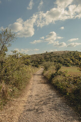 Fototapeta na wymiar road to the mountains