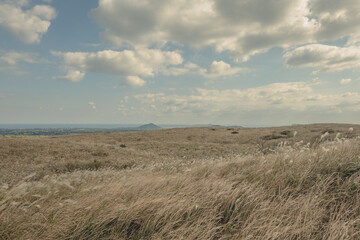 clouds over the field