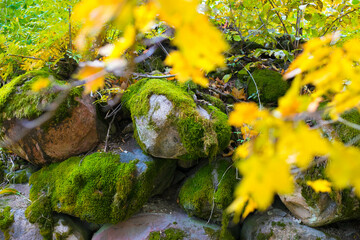 A wall of large gray stones covered with moss