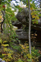 The remains of ancient megaliths are hidden in the forest of the Kamenny Gorod tract.