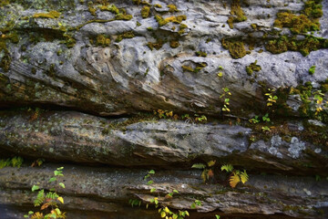 Layered structure of quartz sandstone megaliths in the Kamenny Gorod tract (Devil's ancient settlement)