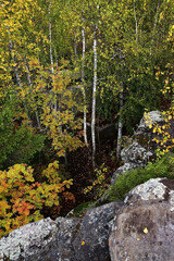 The remains of ancient megaliths are hidden in the forest of the Kamenny Gorod tract.