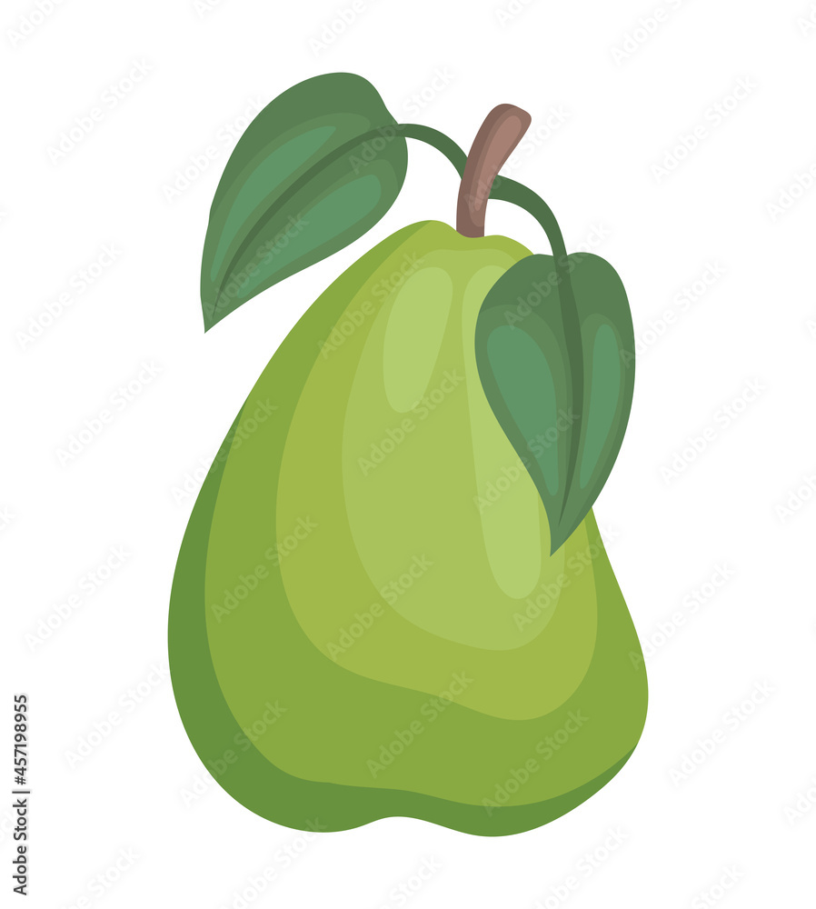 Poster green pear illustration