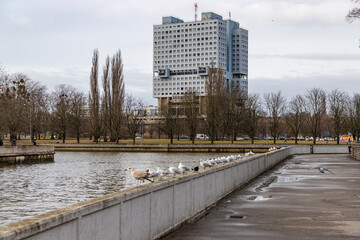 KALININGRAD, RUSSIA - MARCH 12, 2021: The central part of the city of Kaliningrad, the unfinished building House of Soviets in the city of constructivism of the USSR times