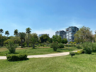 Obraz premium Cityscape with sun beam over the skyscraper and tropical park