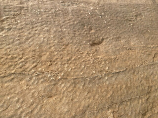 Yellow rough stone texture closeup horizontal background