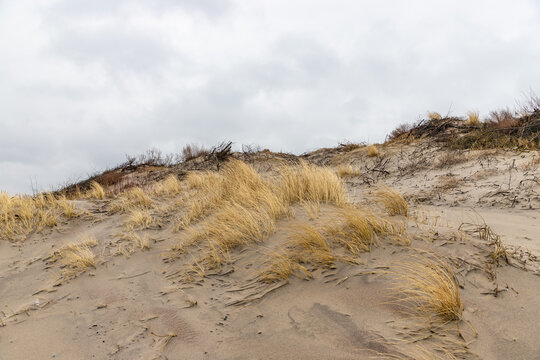 View of sand dunes of Curonian Spit, Kurshskaya Kosa National Park, Curonian Lagoon and the Baltic Sea, Kaliningrad, Russia