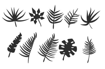 Black leaves or foliage silhouettes isolated on white background. Set of vector tropical leaf shapes vector illustration.
