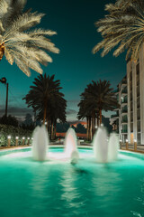 Obraz premium pool in the night water fountain palms luxury miami Brickell 