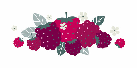 Raspberry fruits. Flat illustration. Ripe berries, leaves and flowers. © Nataly