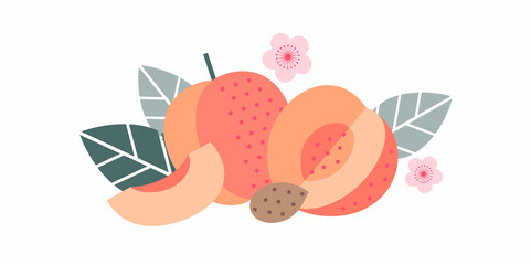 Apricot fruits. Flat illustration. Whole and cut fruits, pit, leaves and flowers.