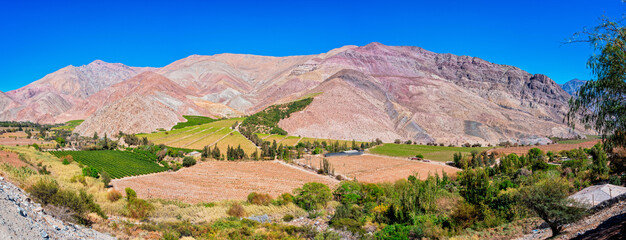 Paiguano or Paihuano panorama view of vineyards and mountains, Valle del Elqui in Elqui Province,...