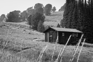 Obraz premium Idaho x