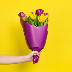 Bouquet of yellow and purple tulips in hand isolated on a yellow background. Greeting card template with copy space. The concept of holiday on March 8, Women's Day, Valentine's Day, mother's day