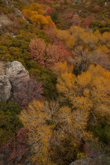 Fototapeta premium Fall foliage at Bear Canyon hiking trail, Utah