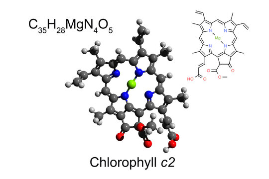 Chemical formula, skeletal formula, and 3D ball-and-stick model of the pigment chlorophyll a, white background