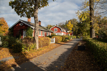 
Red wooden houses and autumn street on a sunny day