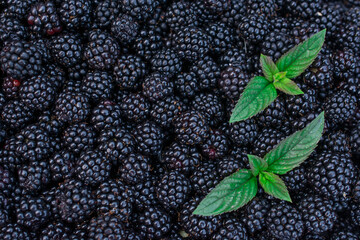 Blackberry fruit closeup background horizontal