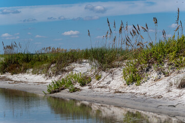 Sand Dunes and Tidal Pool