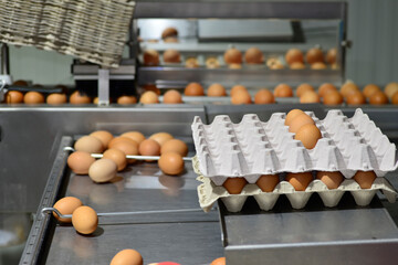 Homemade free-range eggs prepared to take to the supermarket