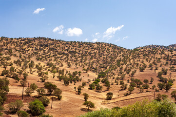 the formation of Mountains with trees, foliage, grass and blue sky in western part of iran, kurdistan province, Iran